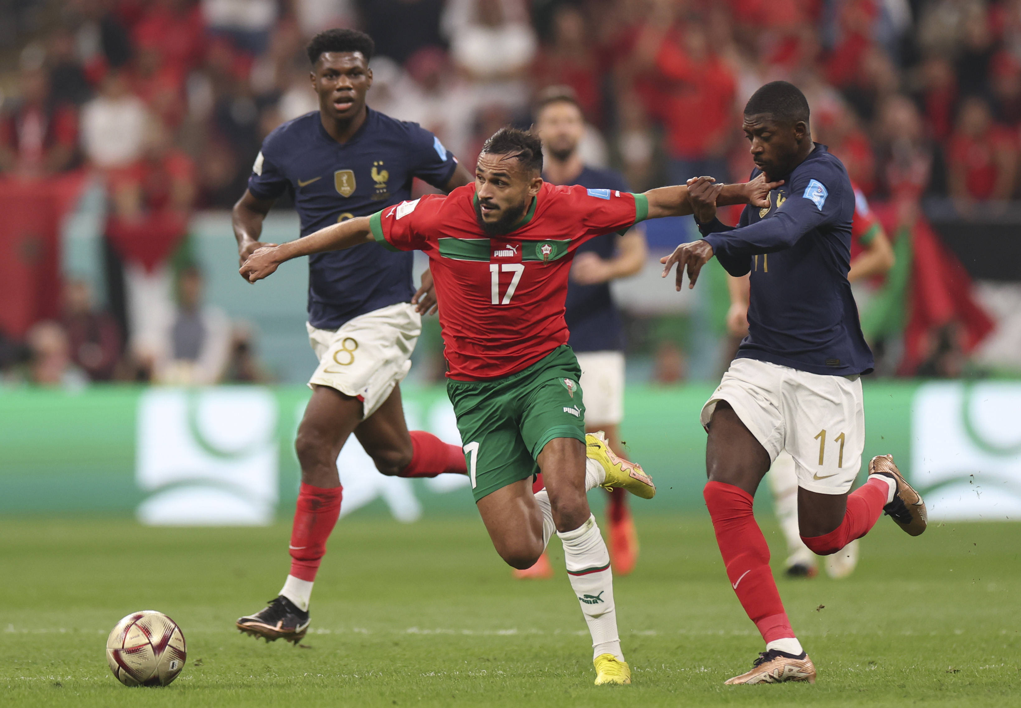 不凡实力 不凡实力